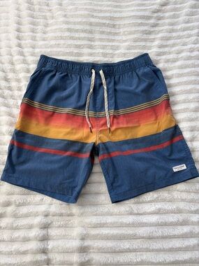 Public Access Men’s Board Shorts Retro Swim Trunks